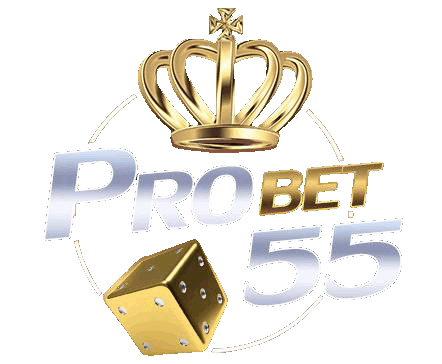 สล็อตออนไลน์ PROBET55 รวมทุกค่าย PG PP JILI แตกง่าย โบนัสบ่อย